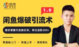 九京闲鱼爆品引流技术1.0，掌握引流新红利，单日进粉200+ 无水印（价值1500元）-旺裕资源站