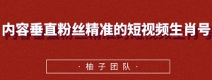 内容垂直粉丝精准的短视频生肖号，小众领域简单操作月入10000+【视频课程】-旺裕资源站