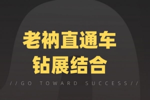 线下暴利赚钱生意，日赚800+的地摊香石生意【视频课程】-旺裕资源站