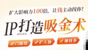 IP打造吸金术：0基础0资源，也能扩大影响力100倍，让钱主动找你！-旺裕资源站