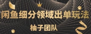 闲鱼细分领域暴力出单玩法，低成本轻松做到单号月入5000+【视频教程】-旺裕资源站