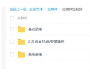 自媒体多期基础+高级VIP教程+抖音小程序玩法（月入20000+）+专场特性-旺裕资源站