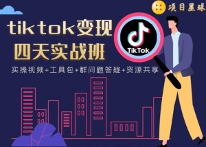 tiktok变现四天实战班：连怼技术+矩阵玩法赚,单账号月入2000美金(实操视频)-旺裕资源站