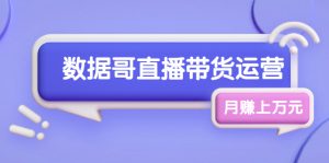 数据哥直播带货运营线上进阶课，让普通人也能靠直播月赚上万元-旺裕资源站