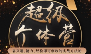 超级个体营：解锁个人“优势”，实现个人品牌持续变现（视频课-无水印）-旺裕资源站