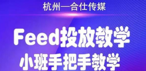 合仕传媒FEED投放教学，手把手教学，开车烧钱必须自己会！-旺裕资源站