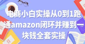 电商小白实操从0到1跑通AMAZON闭环并赚到一块钱全套实操（无水印）-旺裕资源站