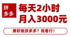 搜外网·拼多多副业课程，每天2小时月入3000元 学习这门课程真的能赚钱-旺裕资源站