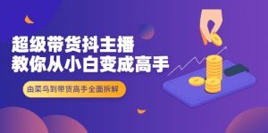 超级带货抖主播教你从小白变成高手，由菜鸟到带货高手全面拆解！-旺裕资源站