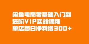 闲鱼电商零基础入门到进阶VIP实战课程，单店每日净利增300+-旺裕资源站