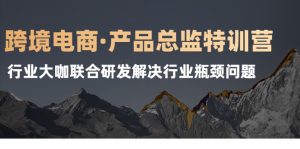 跨境电商·产品总监特训营，行业大咖联合研发解决行业瓶颈问题-旺裕资源站