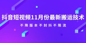 抖音短视频11月份最新搬运技术，不降版本不封抖不限流！【视频课程】-旺裕资源站