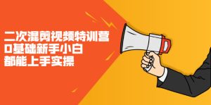 二次混剪视频特训营，0基础新手小白都能上手实操，两天开干-旺裕资源站