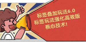 鬼式标签叠加玩法6.0-标签玩法强化高效版，核心技术！-旺裕资源站