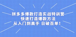 拼多多爆款打造实战特训营：快速打造爆款方法，从入门到高手 日破百单-旺裕资源站