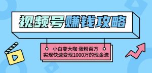 玩转微信视频号赚钱：小白变大咖涨粉百万实现快速变现1000万的现金流-旺裕资源站
