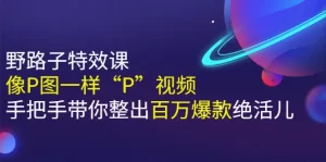 《野路子特效课：像P图一样“P”视频》手把手带你整出百万爆款绝活儿-旺裕资源站