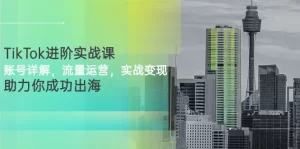 TikTok进阶实战课：账号详解，流量运营，实战变现，助力你成功出海-旺裕资源站