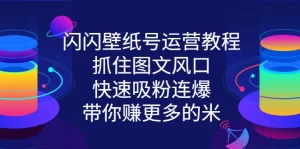 闪闪壁纸号运营教程，抓住图文风口，快速吸粉连爆，带你赚更多的米-旺裕资源站