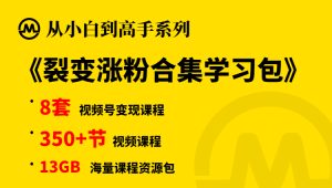 【小白到高手系列】裂变爆粉合集学习包-旺裕资源站