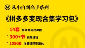 【小白到高手系列】拼多多变现合集学习包-旺裕资源站
