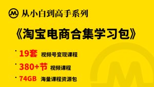 【小白到高手系列】淘宝开店变现合集学习包-旺裕资源站