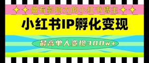 某收费培训-小红书IP孵化变现：做有影响力的小红书博主，最高单人变现300w+-旺裕资源站