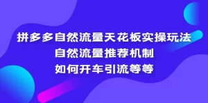 拼多多自然流量天花板实操玩法：自然流量推荐机制，如何开车引流等等-旺裕资源站
